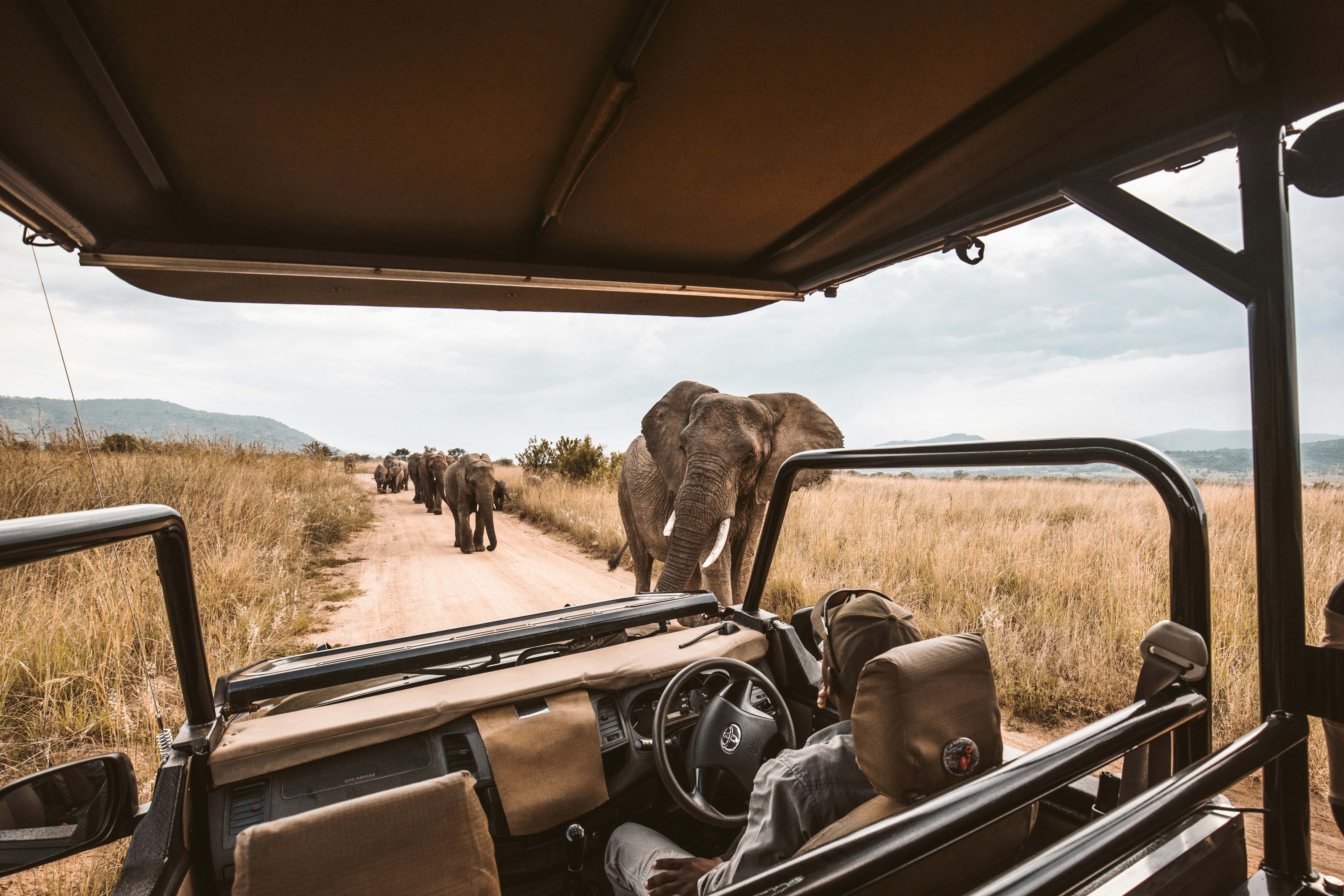 Nyerere National Park