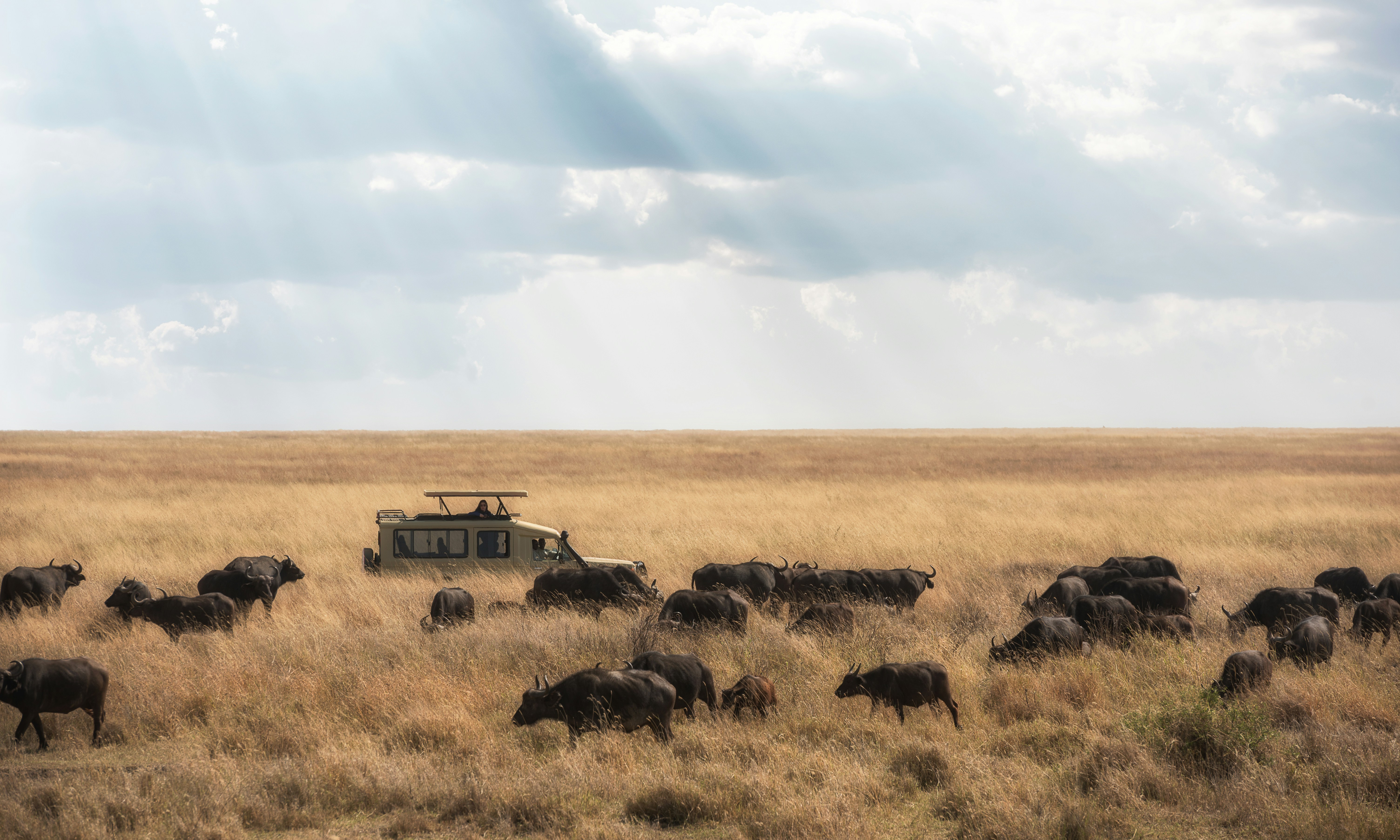 Serengeti National Park
